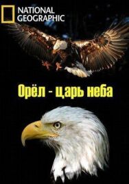 Орёл — царь неба постер к фильму смотреть онлайн на HD Rezka