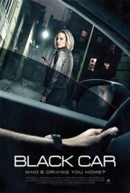 Роковая поездка постер к фильму смотреть онлайн на HD Rezka