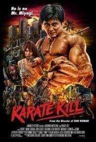 Убойное каратэ постер к фильму смотреть онлайн на HD Rezka