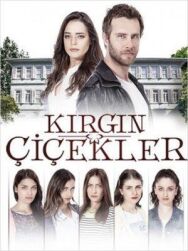 Обиженные цветы постер к фильму смотреть онлайн на HD Rezka
