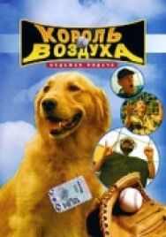 Король воздуха: Седьмая подача постер к фильму смотреть онлайн на HD Rezka
