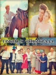 Гроздья винограда постер к фильму смотреть онлайн на HD Rezka