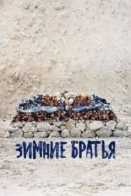 Зимние братья постер к фильму смотреть онлайн на HD Rezka