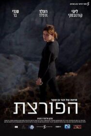 Взломщица постер к фильму смотреть онлайн на HD Rezka