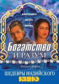Богатство и разум постер к фильму смотреть онлайн на HD Rezka