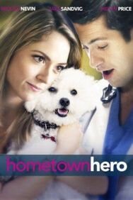 Местный Герой постер к фильму смотреть онлайн на HD Rezka