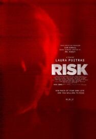 Риск постер к фильму смотреть онлайн на HD Rezka
