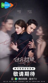 Любовные амбиции постер к фильму смотреть онлайн на HD Rezka