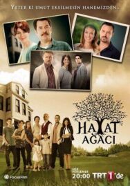 Дерево жизни постер к фильму смотреть онлайн на HD Rezka
