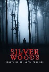 Серебрянный лес постер к фильму смотреть онлайн на HD Rezka