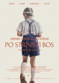 Босиком по стерне постер к фильму смотреть онлайн на HD Rezka