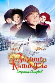 Зимние каникулы: Страна эльфов постер к фильму смотреть онлайн на HD Rezka
