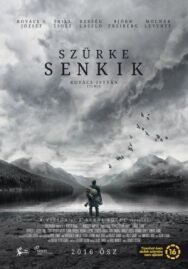 Серые посланцы постер к фильму смотреть онлайн на HD Rezka