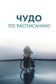 Чудо по расписанию постер к фильму смотреть онлайн на HD Rezka