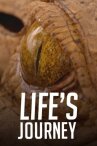 Life's Journey онлайн бесплатно HD Rezka