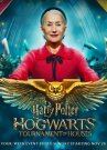 Гарри Поттер: Битва факультетов онлайн бесплатно HD Rezka