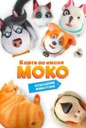 Корги по имени Моко. Домашние животные онлайн бесплатно HD Rezka