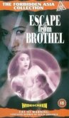Побег из борделя онлайн бесплатно HD Rezka