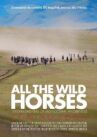 All the Wild Horses онлайн бесплатно HD Rezka