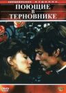 Поющие в терновнике онлайн бесплатно HD Rezka